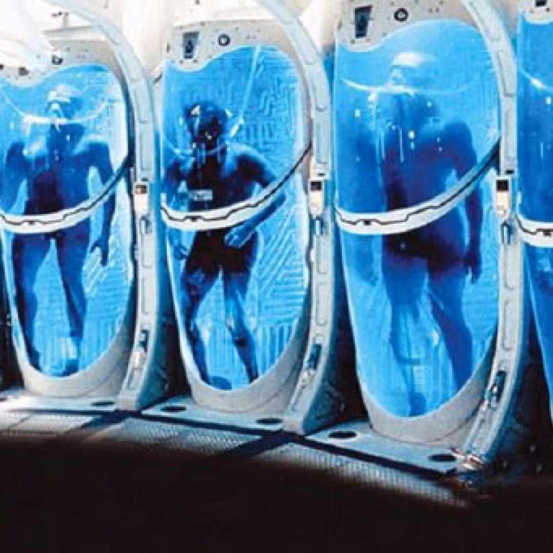 Ngủ đông không hề rẻ. Khi cryonics được xã hội chấp nhận, sẽ ngày càng nhiều người giàu chọn đóng băng cơ thể họ. Sau đó sẽ đến lượt tầng lớp trung lưu. Thế còn những người có thu nhập thấp? Chúng ta thường nói rằng, một khi chúng ta chết, tất cả mọi người sẽ như nhau, người giàu hay người nghèo. Trong tương lai gần, điều này có lẽ sẽ không còn đúng nữa, bởi vì chỉ người nghèo mới chết.