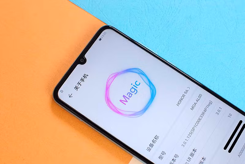 Giá của phiên bản ROM 64GB là 126 USD (tương đương 2,99 triệu đồng). Phiên bản ROM 128GB có giá 169 USD (3,99 triệu đồng). Đây là mức giá rẻ của một chiếc smartphone pin khủng màn hình lớn