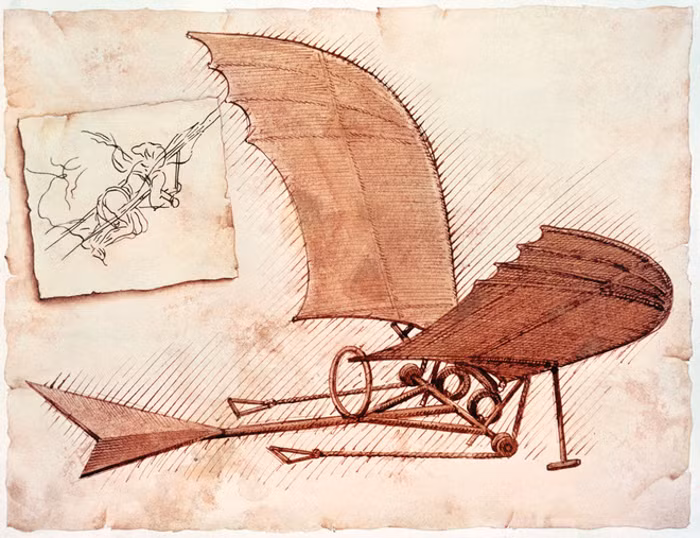 Leonardo da Vinci vẽ phác thảo cỗ máy biết bay dựa theo kiến thức giải phẫu học của loài chim và dơi. Đặc điểm nổi bật nhất trong thiết kế là đôi cánh khổng lồ kết nối với một khung gỗ. Tuy nhiên, ông cũng không trực tiếp chế tạo thiết bị nói trên.