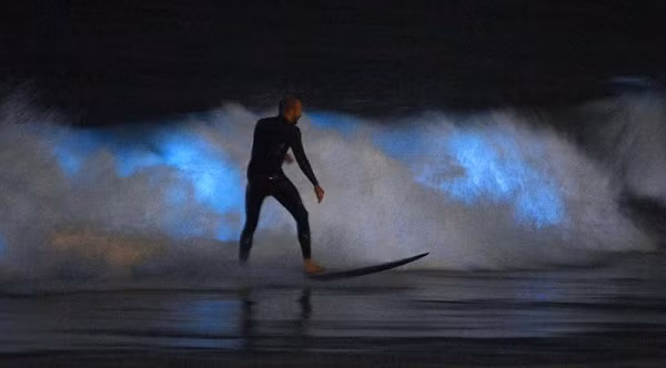 Một người đàn ông lướt sóng giữa đêm tại bãi biển Newport, California.