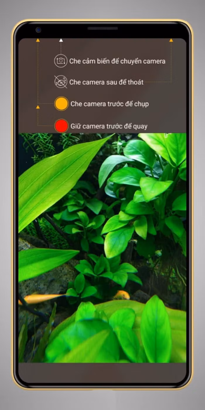 Đây là cách để kích hoạt tính năng chụp ảnh, quay phim dưới nước của Bphone B86