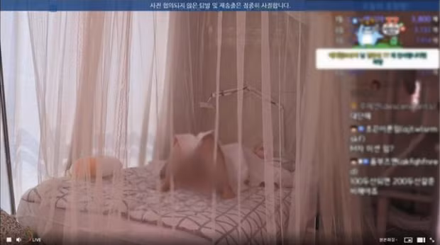 Tuy nhiên, cộng đồng lại lên tiếng chỉ trích vì bộ đồ ngủ quá ngắn, đặc biệt là quần, cộng thêm thói quen ngủ xiêu vẹo khó đỡ, cô nàng khiến người xem lo ngại sẽ hớ hênh ngay trên sóng livestream.