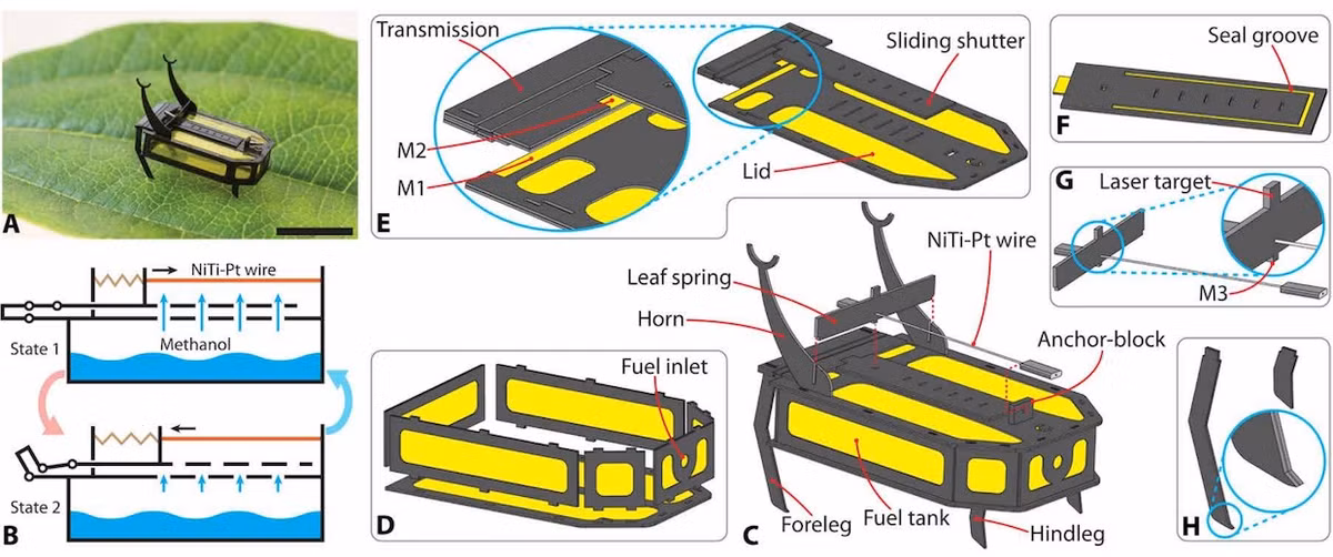 Trong tương lai, các robot siêu nhỏ có thể được sử dụng các sứ mệnh tìm kiếm cứu hộ sau thảm họa thiên nhiên. Ngoài ra, chúng cũng có thể hỗ trợ các nhiệm vụ như thụ phấn nhân tạo hoặc giám sát môi trường.