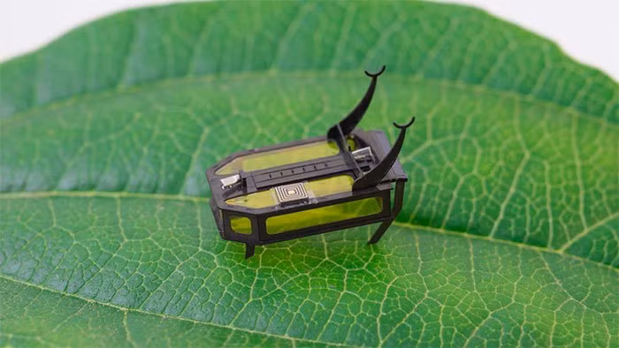 Các cơ nhân tạo có thể co giãn của RoBeetle được kết nối với các chi thông qua một cơ chế truyền dẫn, cho phép con robot này bò trườn.