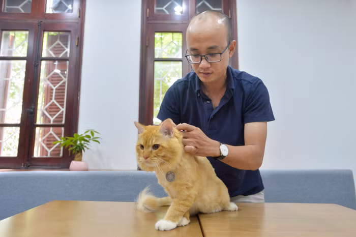 Những thú nuôi khi đeo Pet Tags và sử dụng cùng ứng dụng PetsPort sẽ được định danh là duy nhất. Đây là lí do vì sao ứng dụng này được xem là chứng minh thư điện tử dành cho thú cưng.