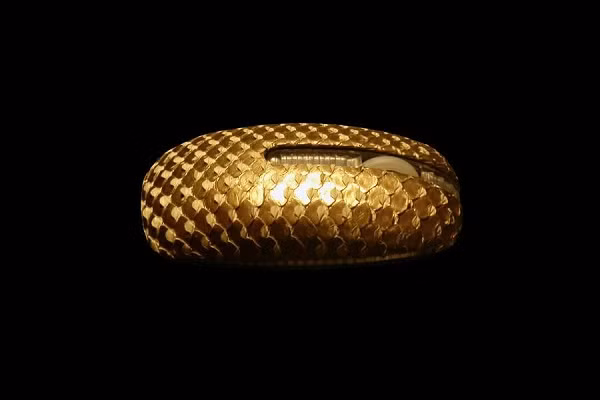 Chuột MJ Python được làm hoàn toàn từ da trăn kết hợp với vàng nguyên chất, sản phẩm của hãng phim MJ. Giá của chuột siêu sang trọng này được ước tính là 17.840 USD.