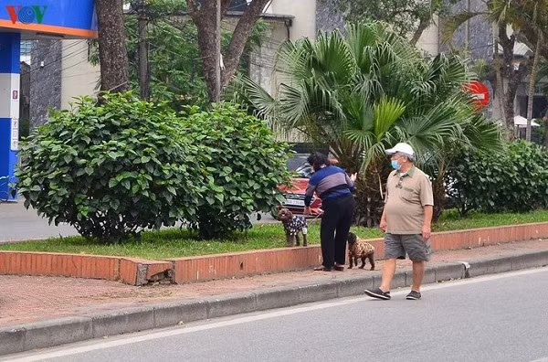 Có người còn tranh thủ dắt cún “cưng” đi dạo phố.