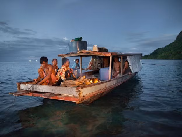 Một nhóm nghiên cứu đã từng lấy gene của người Bajau và người Saluan sống trong đất liền để nghiên cứu đối chiếu. Phân tích ADN chỉ ra, người Bajau mang gene PDE10A mà người Saluan không có. Gene này được cho là thay đổi kích thước lá lách bằng cách điều chỉnh lượng hormone tuyến giáp.