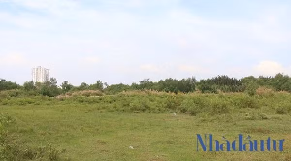 Khu đất Phước Kiển hơn 32 ha được Công ty Tân Thuận chuyển nhượng cho Quốc Cường Gia Lai tọa lạc tại ấp 5, xã Phước Kiển, huyện Nhà Bè, TP.HCM. Ảnh: Chu Ký.