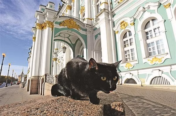 Bảo tàng Hermitage của Nga nằm ở thành phố St. Petersburg thuộc quần thể Cung điện Mùa đông, nước Nga. Bảo tàng mở cửa từ năm 1852, cũng là nơi trưng bày hơn 3 triệu tác phẩm nghệ thuật giá trị từ những tác giả lừng danh nhất thế giới.