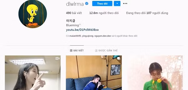 Tên tài khoản Instagram của IU là các ký tự tiếng Anh tương ứng với tên tiếng Hàn của cô trên bàn phím. Cùng với ảnh đại diện chú vịt anime xinh xắn, khó mà tin rằng đây là Instagram của một sao Hàn đình đám.