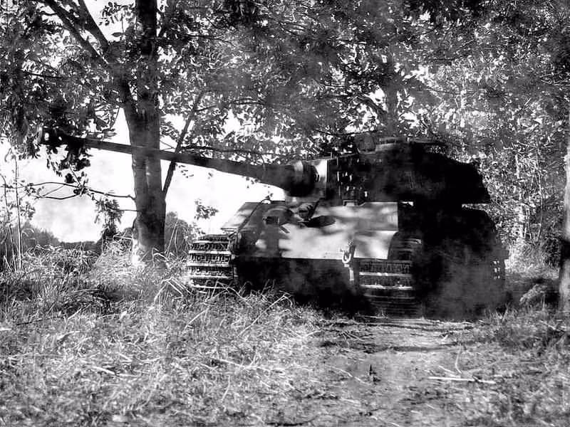 Tháng 8/1944, xe tăng IS-2 của Hồng quân Liên Xô lần đầu giáp mặt Tiger II ở sông Vistula, Ba Lan. Dù có rất nhiều lợi thế về địa hình phòng thủ, song các Tiger II đã bị lực lượng xe tăng IS-2 Liên Xô áp đảo. Với pháo lớn hơn hẳn, các xe IS-2 đứng trên bờ sông, phơi bày giáp trước về phía địch, bắn xuyên mặt trước của các “Hổ vương” ở cự li 700-1.000m, buộc các xe còn sống sót phải ẩn nấp, tạo điều kiện để Hồng quân chiếm bàn đạp, lập đầu cầu vượt sông.