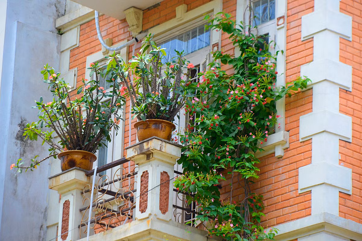 Sự kết hợp hài hòa giữa bức tường gạch đỏ và bụi, chậu hoa nhỏ đem tới vẻ sinh động cho ngôi nhà.