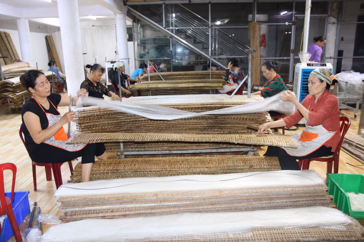 CEO Nguyen Van Dinh: “Ho bien” hat gao Viet vuon tam the gioi-Hinh-5