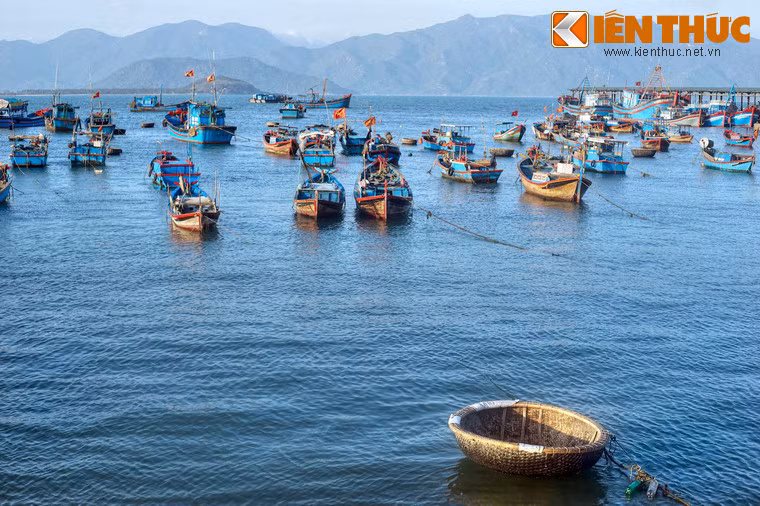 Hình ảnh những con thuyền đánh cá được sơn màu sắc tươi tắn neo đậu san sát là nét đặc trưng của cuộc sống bình yên bên bờ vịnh.