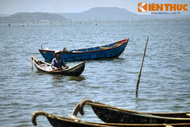 Vì là đầm nước lợ nên đầm Ô Loan có rất nhiều hải sản như hàu, sò huyết, tôm, mực, sứa, rau câu, điệp, cua… Trong đó, sò huyết đầm Ô Loan là đặc sản nổi tiếng, đã được xuất khẩu đi nhiều nước trong khu vực.