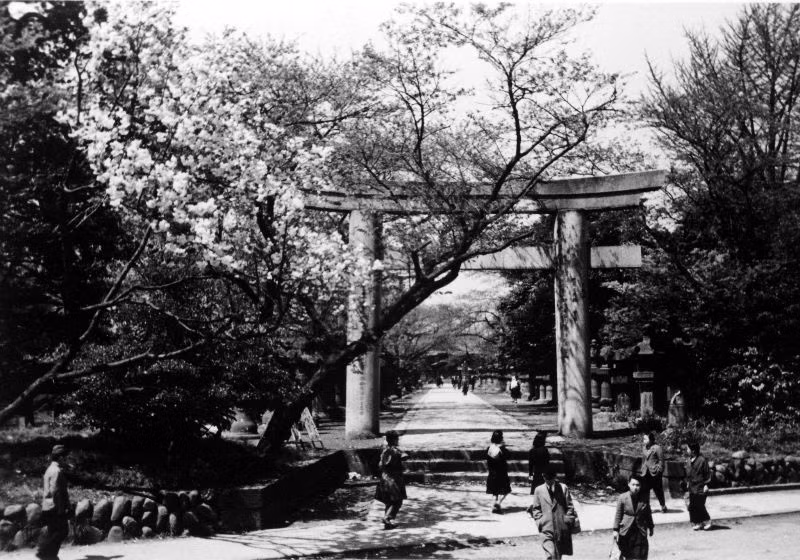Lối vào đền Toshogu ở quận Ueno. Ảnh: M20wc51.