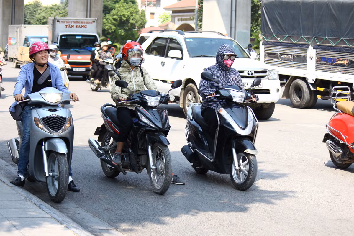 Bóng cây là một điểm dừng đèn đỏ lý tưởng.