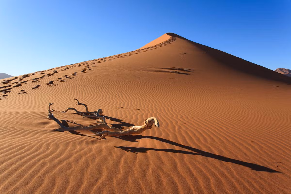 Trái ngược với sa mạc Nam Cực, sa mạc Sahara có diện tích 9,2 triệu km2, bao phủ gần như toàn bộ diện tích Bắc Phi và là sa mạc nóng lớn nhất thế giới. Không những vậy, Sahara còn là sa mạc lớn nhất châu Phi.
