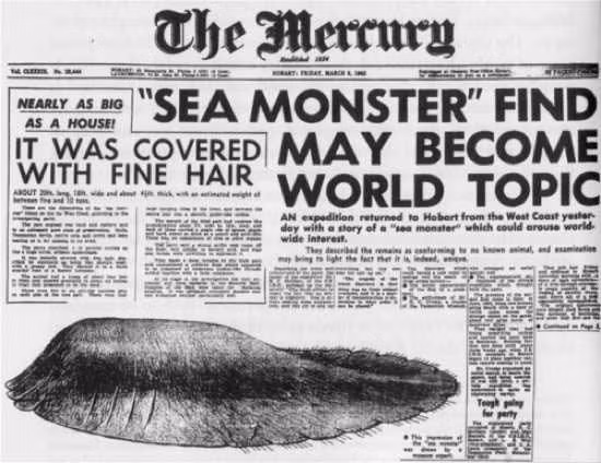Vào tháng 8/1960, xác thủy quái khổng lồ Tasmania hay còn gọi "Tasmania Blob" được phát hiện dạt vào bờ biển Tasmania. Quái vật này khuyết mắt, có miệng và cơ thể bao phủ lớp lông cứng màu trắng và đặc biệt rất lớn với chiều dài lên đến 6m. Sau 21 năm giải mã, các chuyên gia xác định đó là xác của một con cá voi.