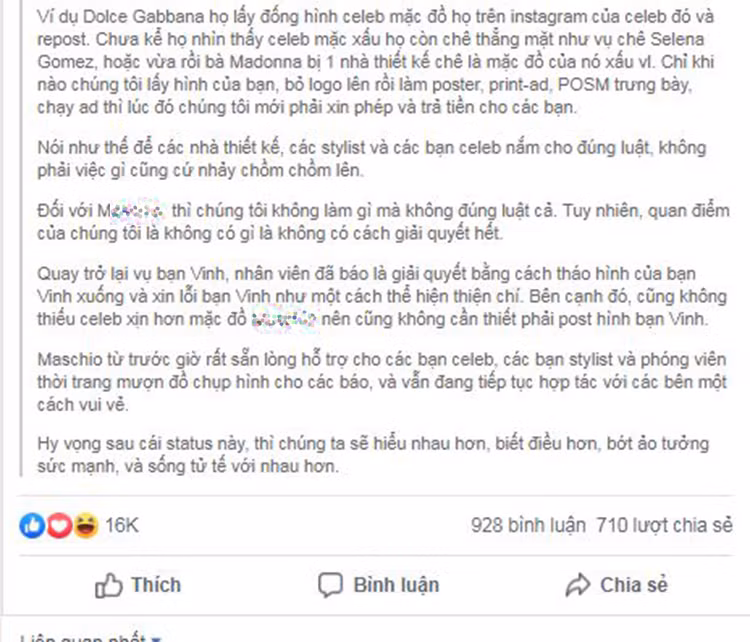 Truong The Vinh buc xuc vi bi xai chua hinh anh, nhan hang to nguoc-Hinh-4