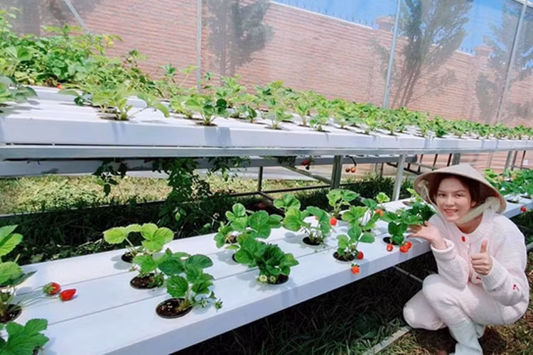 Khi về nông trại, nữ diễn viên không ngại trải nghiệm cuộc sống của một người nông dân.