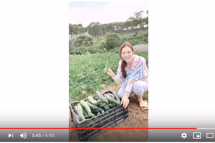 Nữ diễn viên thích thú tự tay thu hoạch rau quả sạch.