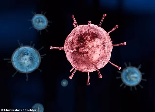 Điều đặc biệt là 90% gene của Yaravirus chưa từng được tìm thấy trong bất kỳ hệ thống di truyền nào khác.