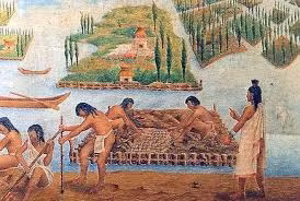 Người Maya là những nông dân giỏi, trồng cây lúa, bắp và cà phê. Họ tham gia thương mại với các dân tộc khác trong khu vực Mesoamerica.