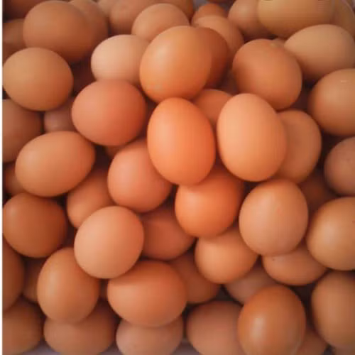 Trong gà công nghiệp, trứng màu nâu thường được ưa chuộng hơn vì cho rằng chúng có hàm lượng dinh dưỡng cao hơn. Tuy nhiên, sự khác biệt này không đáng kể.