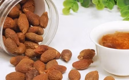 Công dụng hạt đười ươi quý như “lộc trời ban” 4 năm 1 lần Cong dung hat duoi uoi quy nhu “loc troi ban” 4 nam 1 lan