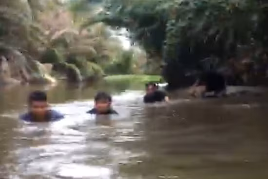 Canh sat ngam minh duoi bun, pha soi bac giua dam lay