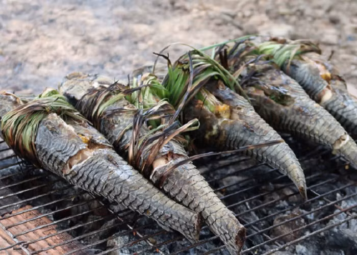 Đặc biệt, khi làm cá lau kiếng sẽ giữa lại phần da cá, đảm bảo khi nướng không làm cháy sém thịt bên trong. Do da cá rất dày và thô cứng nên phải nướng trên bếp than lớn, đỏ rực mới chín đều, không bị sống. Tùy vào độ lớn nhỏ của cá mà thời gian nướng khác nhau. Cá lau kiếng nướng thường chấm kèm với muối ớt cay