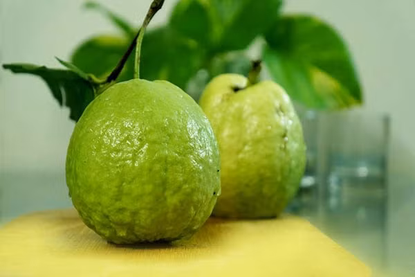 Ổi là loại quả thông dụng được rất nhiều người yêu thích bởi nó có tính năng giảm cân hiệu quả. Trong ổi giàu kali, giúp đốt cháy chất béo và kiểm soát cơn đói.