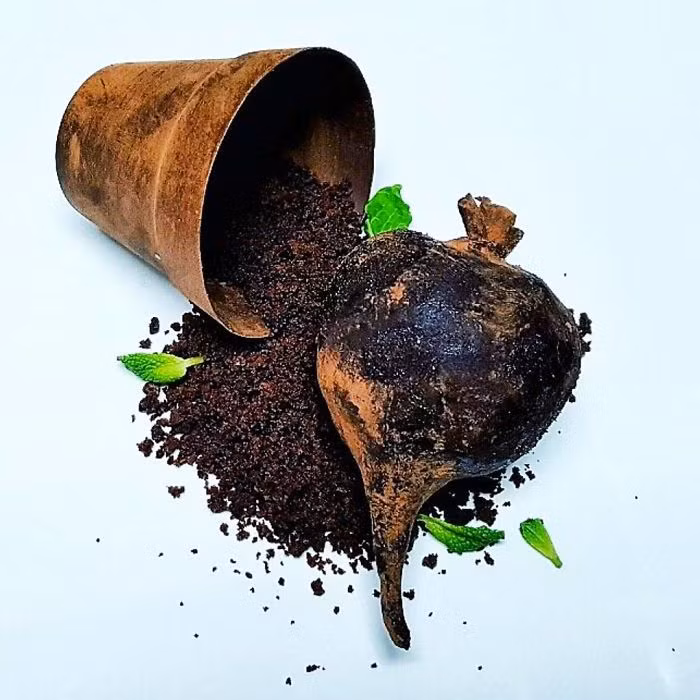 Ben Churchill thường ngụy trang cho các món tráng miệng của mình thành gạt tàn thuốc lá, miếng bọt biển rửa chén, củ quả thối...