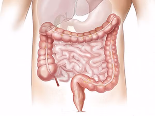 3. Làm sạch ruột: Uống nước khi bụng đói vào buổi sáng giúp làm sạch ruột. Nó thúc đẩy ruột hoạt động đều đặn và giúp điều chỉnh đường tiêu hóa của bạn. Điều này ngăn ngừa táo bón và tiêu hóa kém.