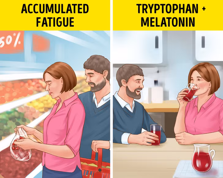 Nước ép cherry (anh đào): Giống như sữa, nước ép anh đào cũng chứa tryptophan. Uống loại trà này trước khi ngủ giúp cơ thể sản sinh hormone melatonin, từ đó cải thiện giấc ngủ của bạn.