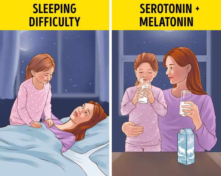 Sữa ấm là một trong những đồ uống “thần kỳ” giúp bạn có giấc ngủ sâu. Bởi, trong sữa chứa tryptophan tác dụng làm tăng serotonin trong não, giúp cho bạn cảm thấy thoải mái và dễ chìm vào giấc ngủ hơn.