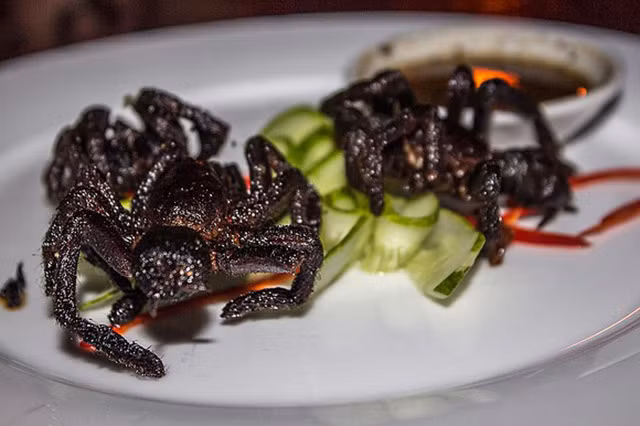 2. Nhện độc tarantula: Người Campuchia ví món nhện độc chiên giống như một món ăn nhẹ, chúng thường được chiên với ớt, bên ngoài thì giòn rụm mà phần bụng bên trong vẫn mềm, cắn một miếng vẫn còn chất lỏng chảy ra.