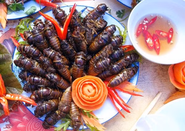 Có rất nhiều món ngon từ ve sầu như rang lá chanh đến tẩm bột chiên xù, thậm chí có thể làm món cháo ve sầu. Tuy nhiên, trước khi nấu phải nhặt sạch sẽ rồi ngâm ve qua nước muối, sau đó trần qua nước sôi để đảm bảo sạch.