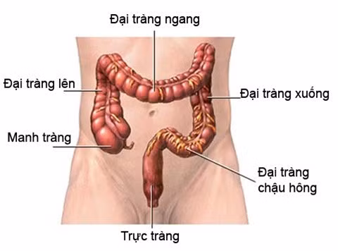 Bệnh ung thư trực tràng của “nữ hoàng gợi cảm” Tiêu Thục Thận nguy hiểm ra sao? - Hình 2 Benh ung thu truc trang cua “nu hoang goi cam” Tieu Thuc Than nguy hiem ra sao?-Hinh-2