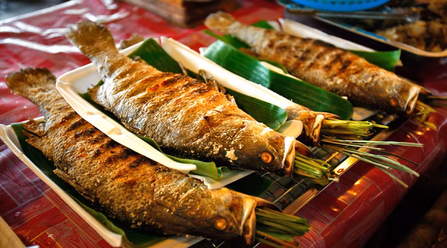 Cá suối nướng: Cá bắt được làm sạch đem ướp gia vị. Gia vị thường là những nguyên liệu có sẵn ở núi rừng như: mắc khén, rau thơm rừng, ớt, sả, …trộn với muối. Lấy dao khứa chéo phần thân ngoài cá rồi tẩm các gia vị chừng vài phút, cuộn cá với rau thơm, dùng thanh tre tươi kẹp chặt và hơ nướng trên than tro ủ nóng đến khi cá chuyển sang màu vàng, dậy mùi thơm là đã chín.