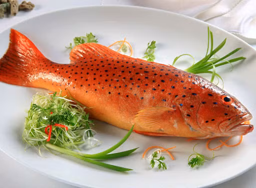 Cá mú đỏ là một trong những đặc sản của Côn Đảo không thể bỏ qua. Có tên gọi khác là cá song và là loại cá được ưa chuộng nhất trong các loại các biển ở Côn Đảo với những thớ thịt dai ngọt và rất thơm, thường được chế biến thành các món sốt, nướng và gỏi rất hấp dẫn.