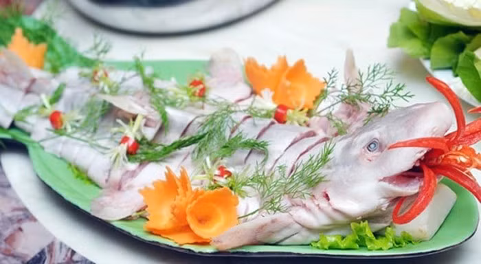Gỏi cá mập là món đặc sản khi đã thưởng thức bạn rất khó có thể quên được. Một đĩa gỏi cá mập sẽ cho bạn cảm nhận hương vị mềm, thơm của cá với vị cay xé của mù tạt và hòa trộn cùng những nguyên liệu tự nhiên của lá mơ, rau ngổ, vị chát chuối xanh, vị chua của dứa và khế. Ảnh: Internet. Video "Chế biến món ngon từ nấm đông cô". Nguồn: VTC.
