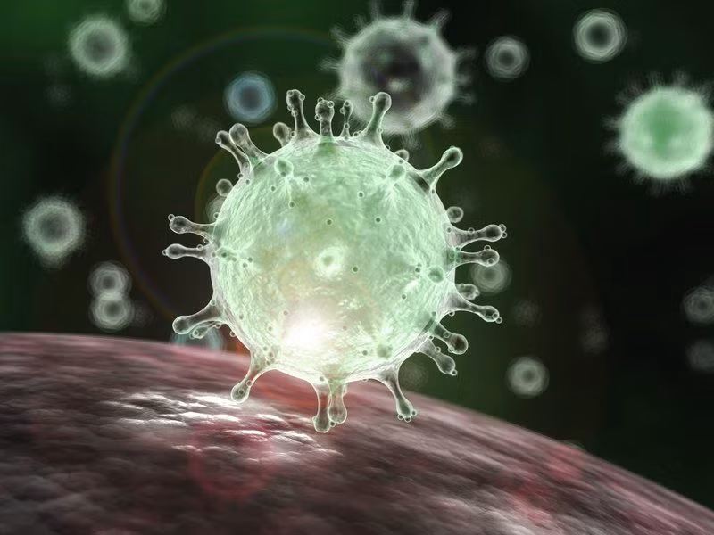 Phát hiện 3 biến thể virus SARS-CoV-2 gây bệnh dịch COVID-19 ở Việt Nam Phat hien 3 bien the virus SARS-CoV-2 gay benh dich COVID-19 o Viet Nam