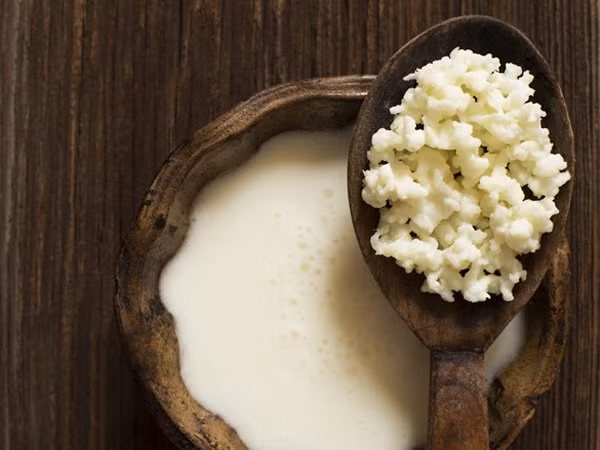 Sữa Kefir, còn được gọi là kephir là một thức uống lên men được làm bằng hạt nguyên chất. Các loại ngũ cốc được sử dụng để làm đồ uống lên men có thể được tái sử dụng và phải được lưu trữ ở nơi mát mẻ để tránh bị hư hỏng. Đồ uống giàu men vi sinh có vị hơi chua đã được chứng minh là giúp cân bằng "hệ sinh thái bên trong" cơ thể bạn. Ảnh: Boldksy. 
