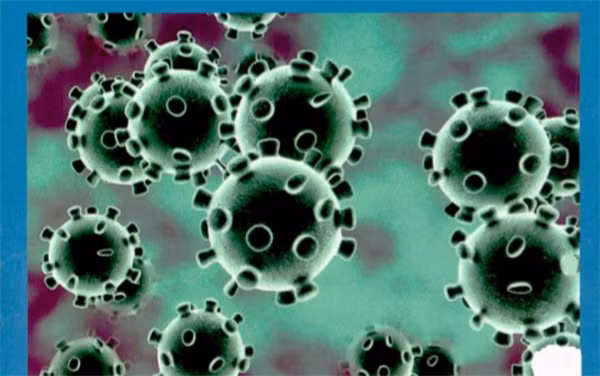 Chuyên gia khẳng định virus corona không truyền qua “bụi khí” Chuyen gia khang dinh virus corona khong truyen qua “bui khi”