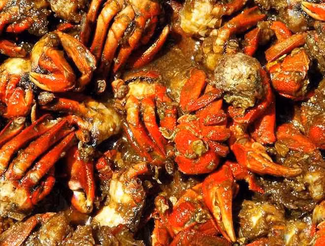 Mắm ba khía Rạch Gốc: Chắc hẳn những ai từng đặt chân đến mảnh đất Cà Mau này đều không thể bỏ lỡ việc thưởng thức món mắm ba khía của người dân nơi đây, món được mệnh danh “ăn một lần, nhớ một đời”. Mắm ba khía thơm ngon đậm đà, hương vị độc đáo, dù chan với cơm nguội ăn vẫn thấy ngon.