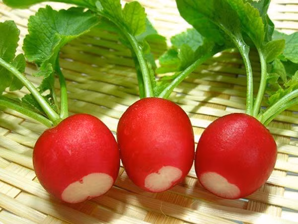 Nhung loai rau cu qua 