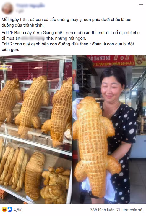 Từ những ổ bánh mì truyền thống, người Việt đã nghĩ ra đủ kiểu cải tiến từ hương vị cho đến hình dáng, nào là bánh mì khổng lồ, bánh mì siêu dài, bánh mì vuông, bánh mì thanh long, bánh mì mini… Mỗi lần xuất hiện, các phiên bản sáng tạo này đều thu hút được sự chú ý của cộng đồng mạng.
